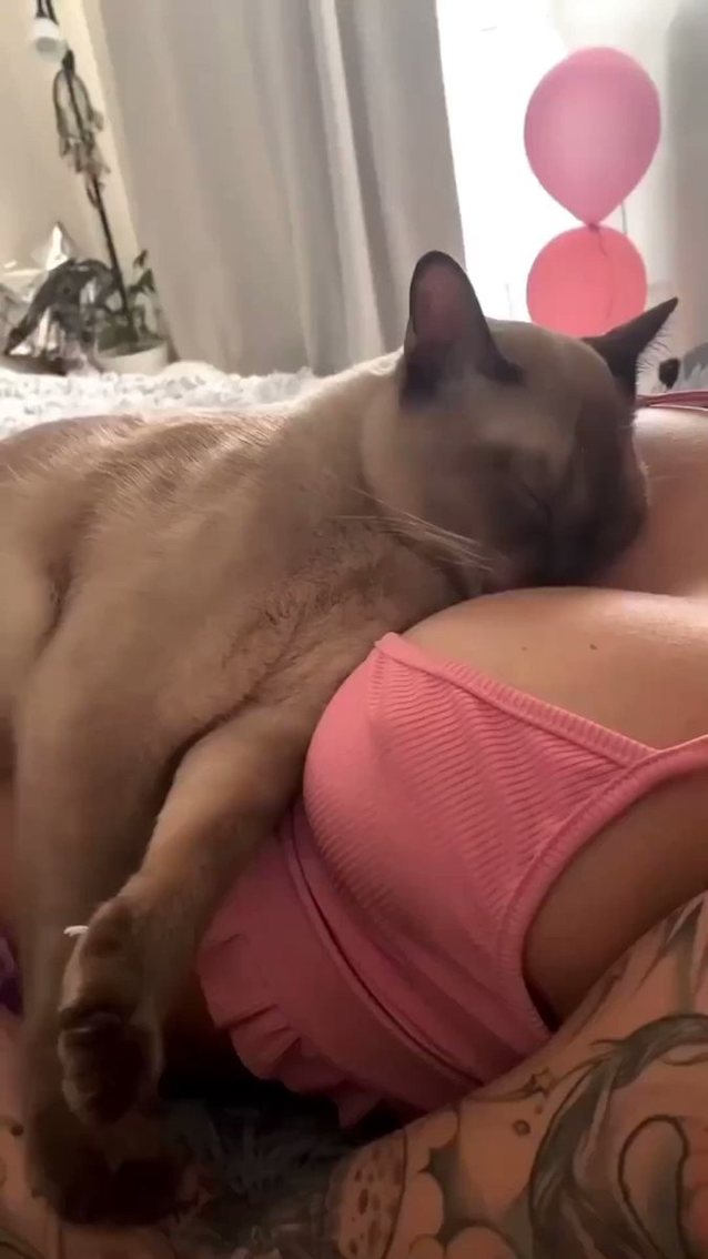 blonde, big tits, tits, cat, licking tits