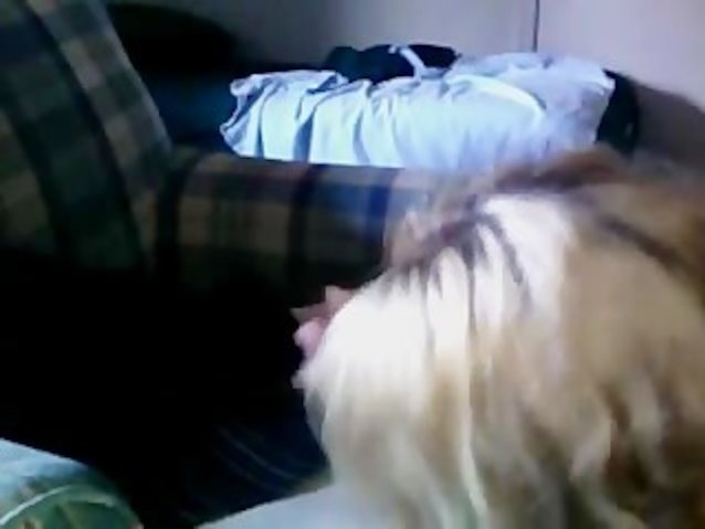 homemade, blow job, first time, couple, webcam