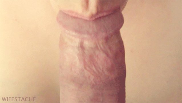 Девушка шалит с закрытой головкой члена гиф Девушка шалит с закрытой головкой члена гиф