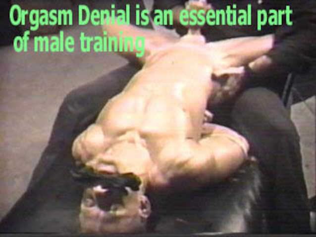 Where can I find this video?