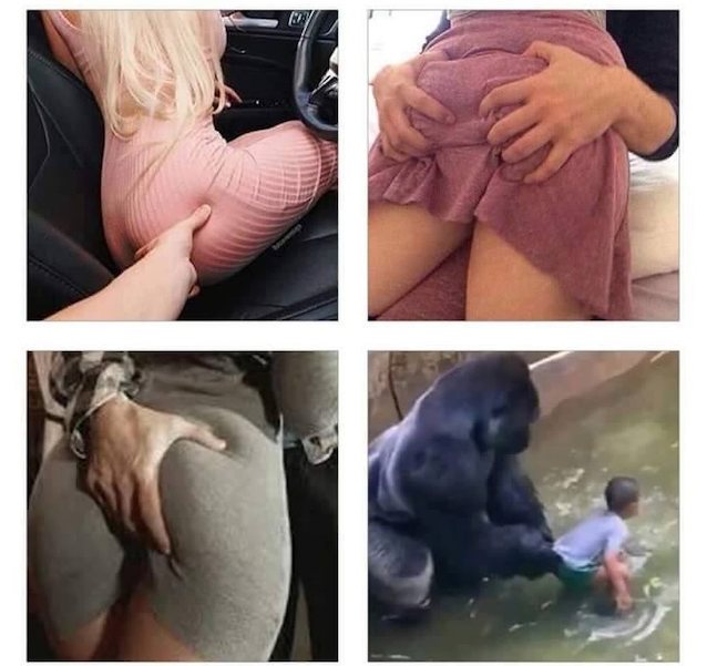 Source of top 2 pictures please?