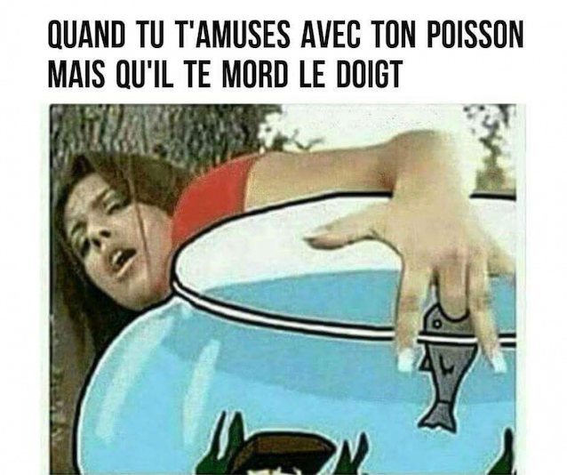 Name of original vidéo please