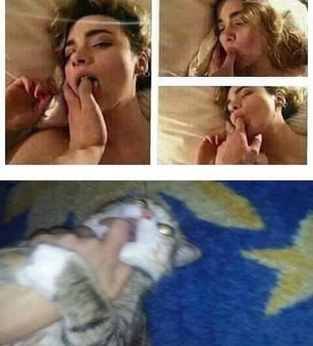 Where can I find this video?