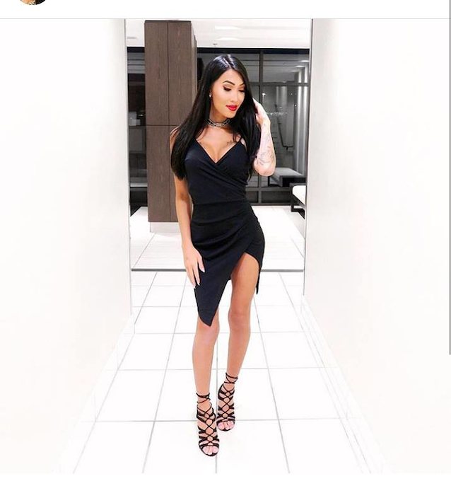 What's the name of this model?