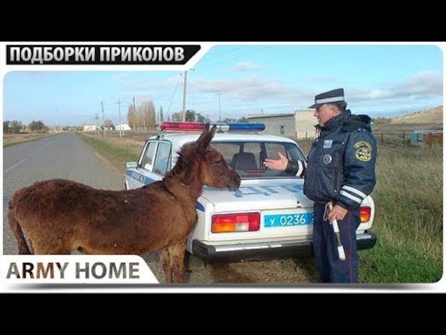@ 0:43