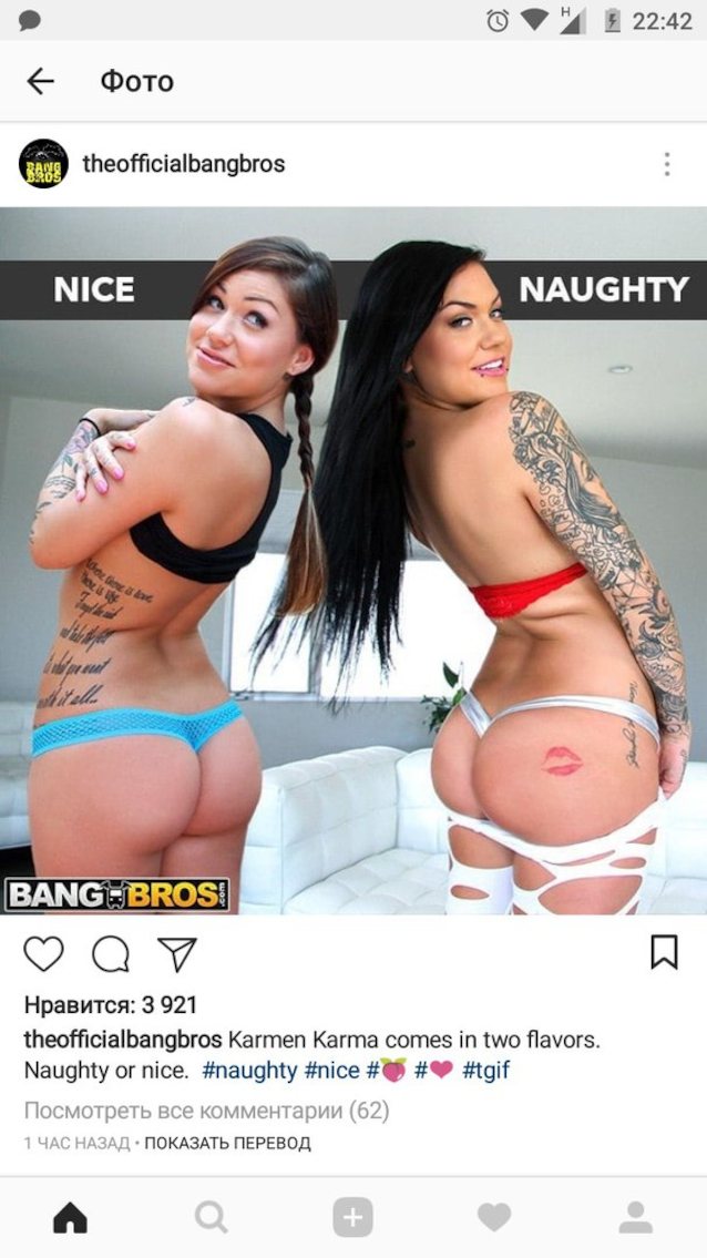 bangbros, brunette, hardcore