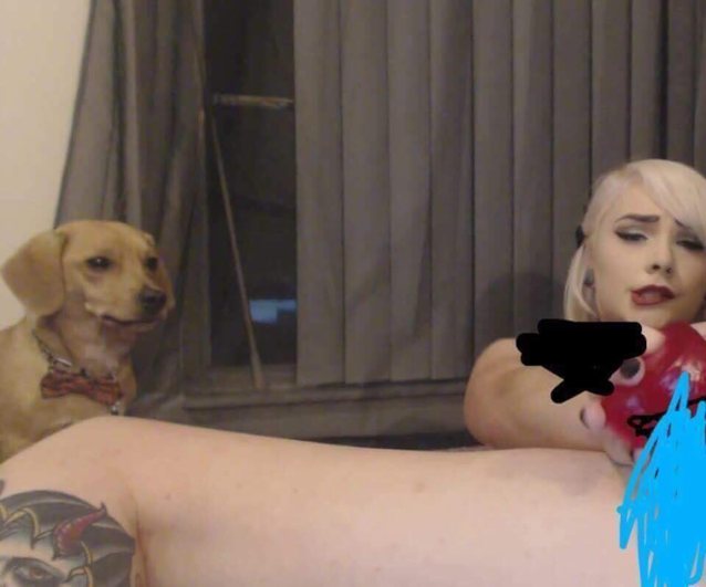 Where can I find this video?