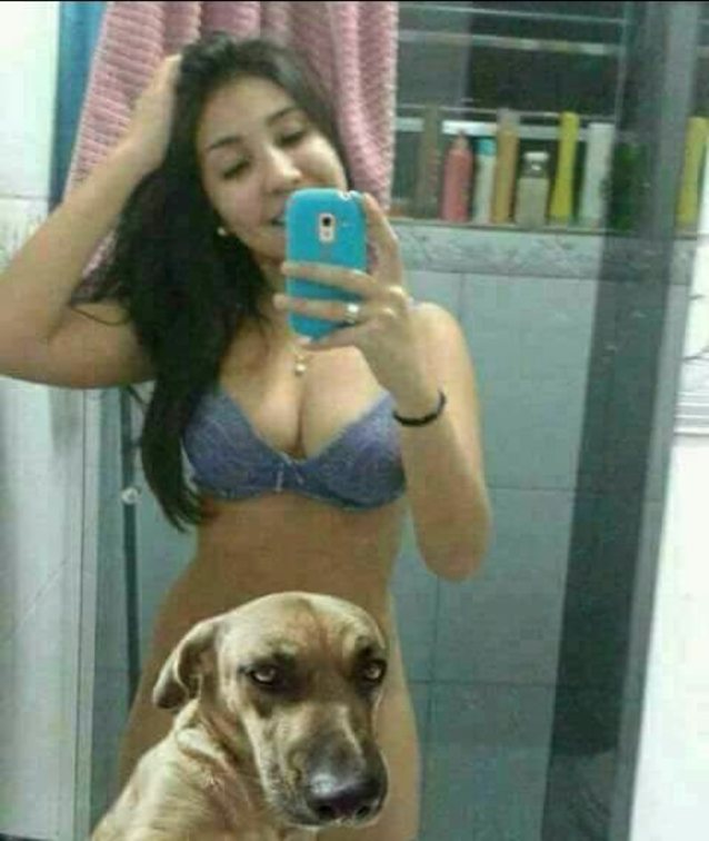 Where can I find this video?