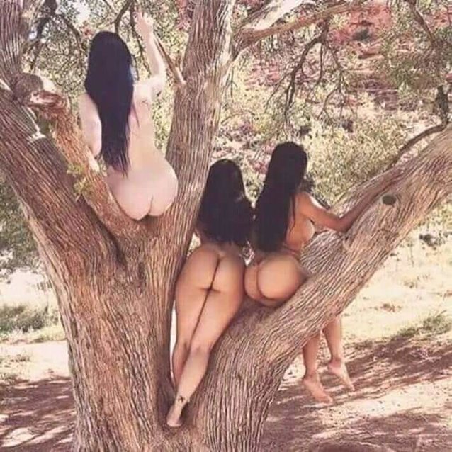 forest, 3 milfs, milfs, 3 women