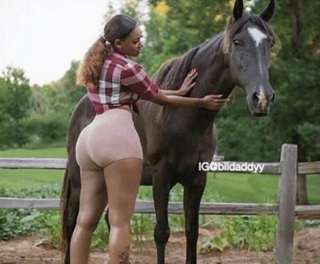 ebony, ass, horse, big ass, fat ass