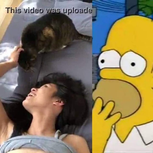 homer pussy fucking