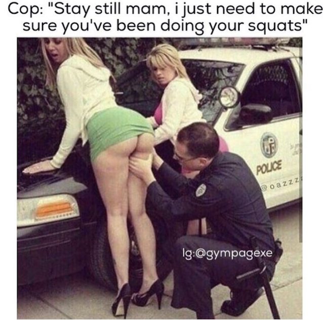 brazzers, skirt, big ass, cop