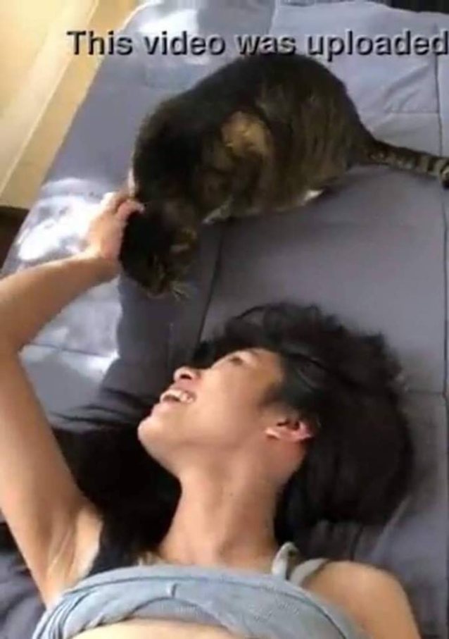 dark hair, cat, petting cat, white girl