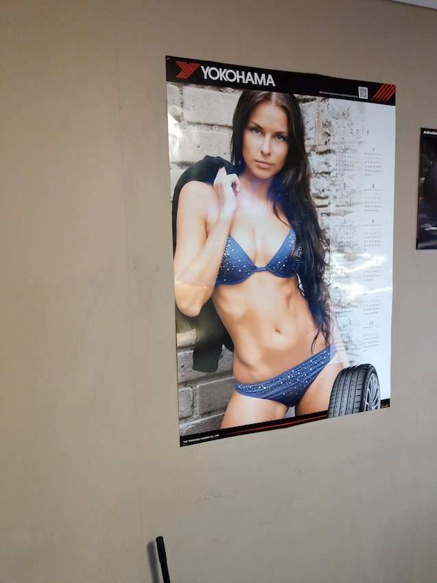 model brunette bikini