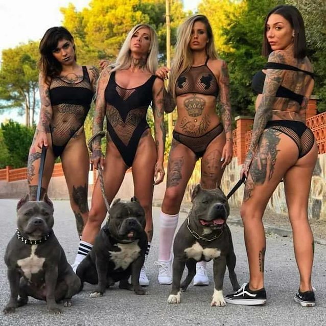 girls, dogs, erotic, blonde, group