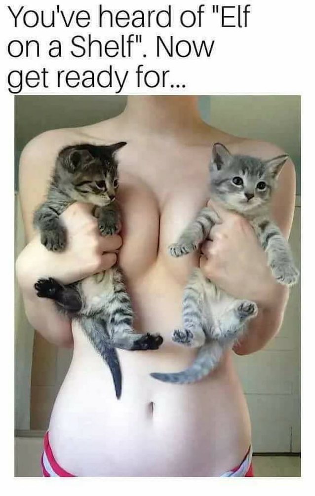 cat, tits, teen, navel, userpoint