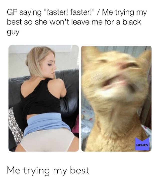 blonde, couch, straight, meme, cat