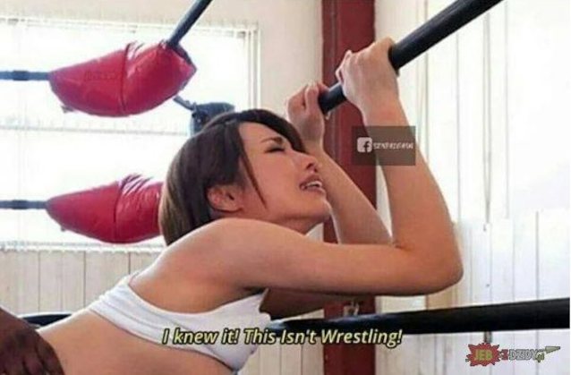 wwe, wrestling, brunette