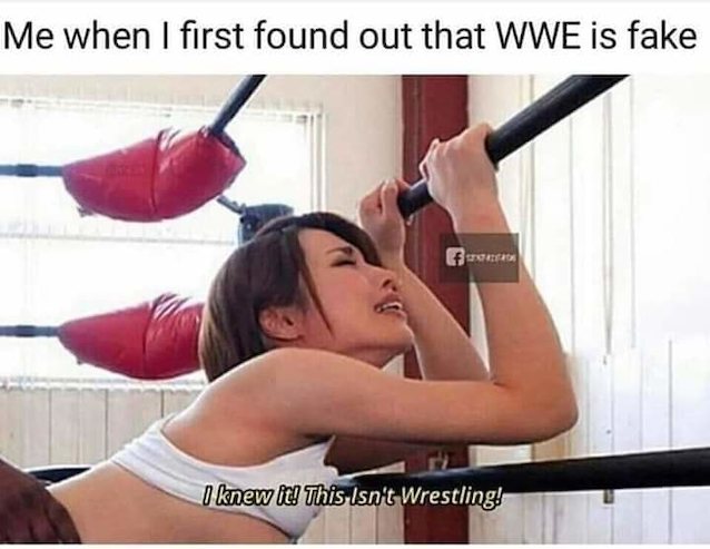 wrestling, meme, interracial, asian, brunette