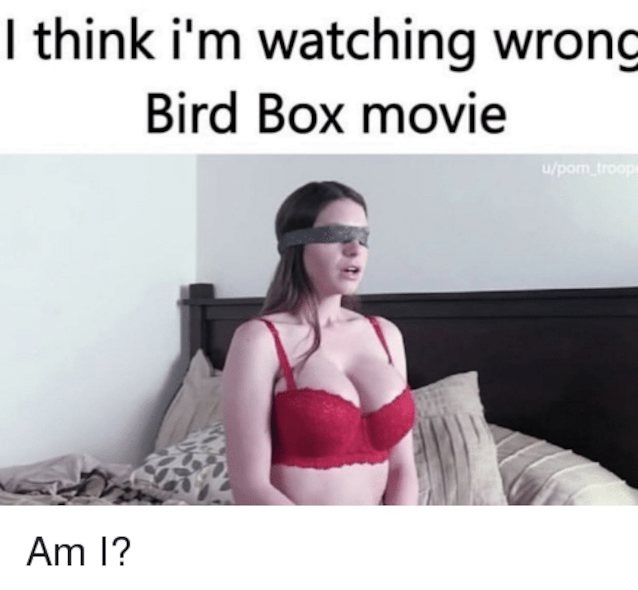 bird box, red bra, hot, wife