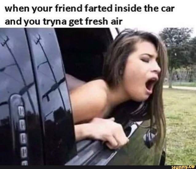 car fucking, doggy, rough fuck, mofos