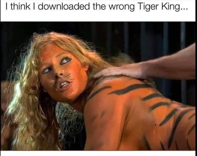 tiger, sex, blonde, paint, doggy