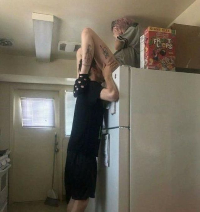 fridge, refrigerator, pussy licking