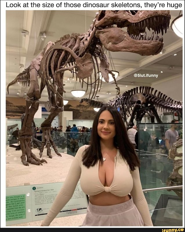 big tits, big boobs, thick