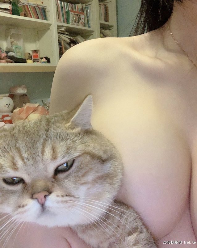 amateur, cat, boobs, kitty, softpic