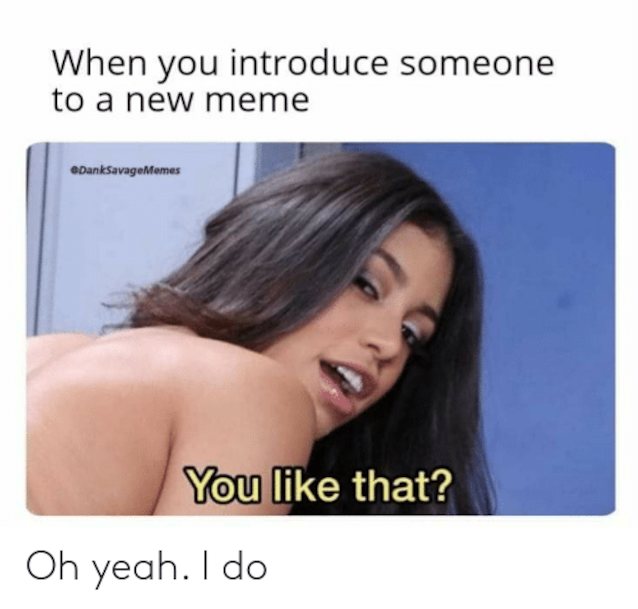 memes pornstar video