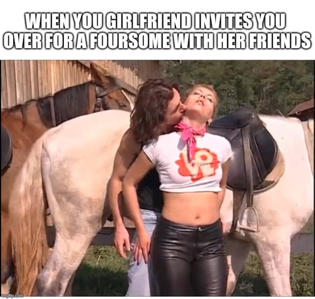 meme, horse, farm, couple, neck