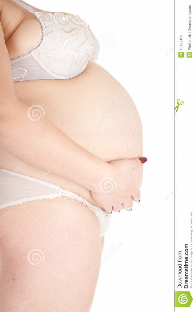 pregnant white bbw