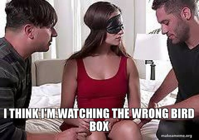 bird box, meme, threesome, blindfold