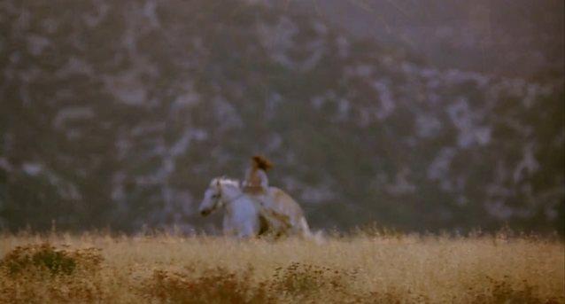 brunette horse european