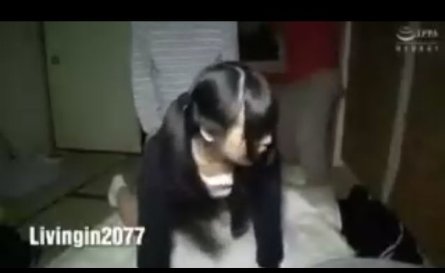 dark hair asian small tits