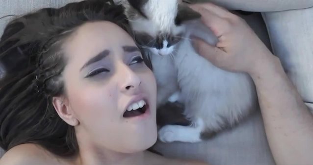 cat, pussy, cute, ameture, orgasm