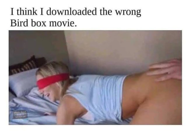 bird box, meme, source, blindfold, sislovesme