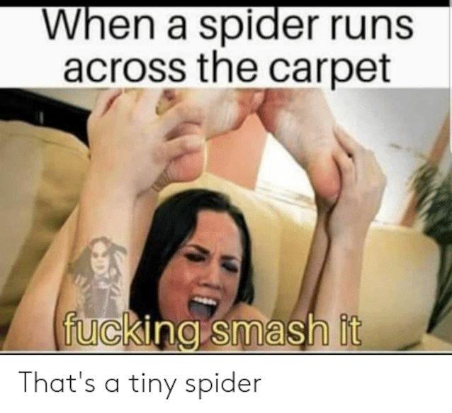 meme, brunette, spiders