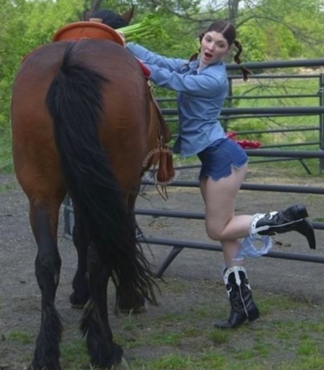 white, panties, horse girl, brown hair, ass