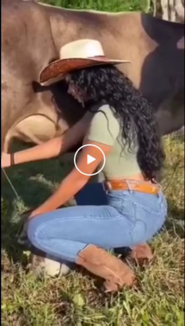 cowgirl, cow, black hair, milking, big ass