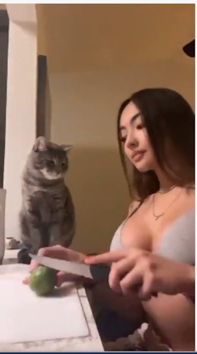 asian tiktok big tits