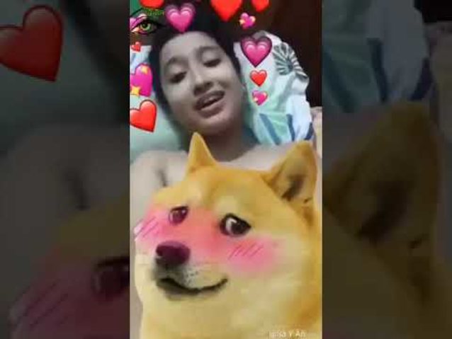 doge asian meme