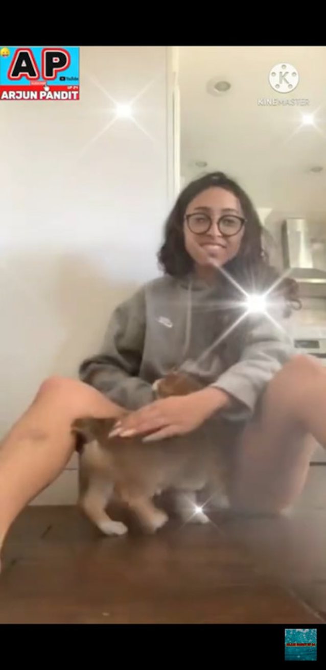 youtube, dog, sweater, glasses