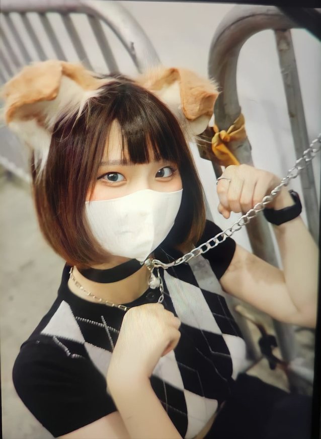 idol, asian, leash, dog play, photo