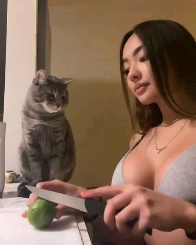 asian, boobs, tiktok, teen