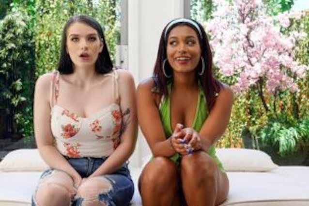 white brunette big tits