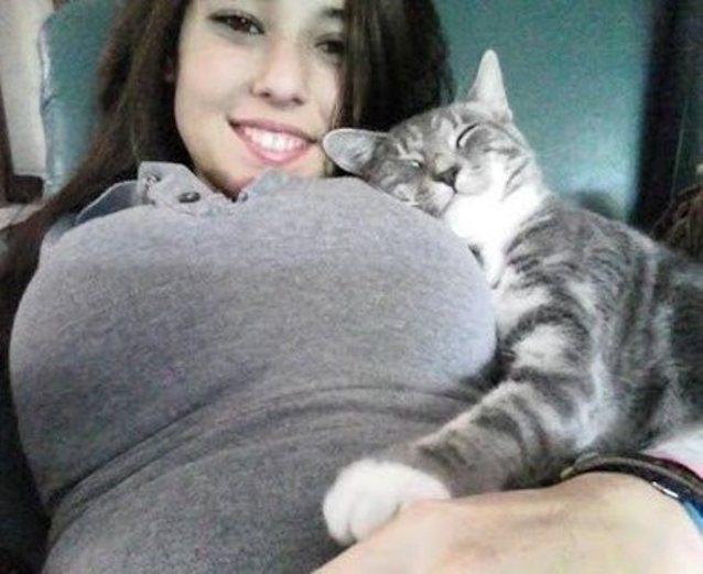 amateur, big tits, big boobs, cat, relax