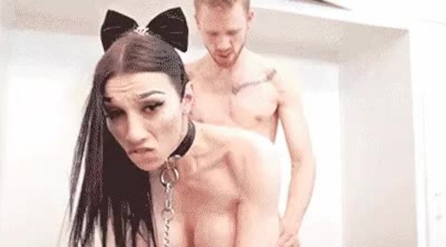 shemale, cat ears, big tits, big boobs, doggy