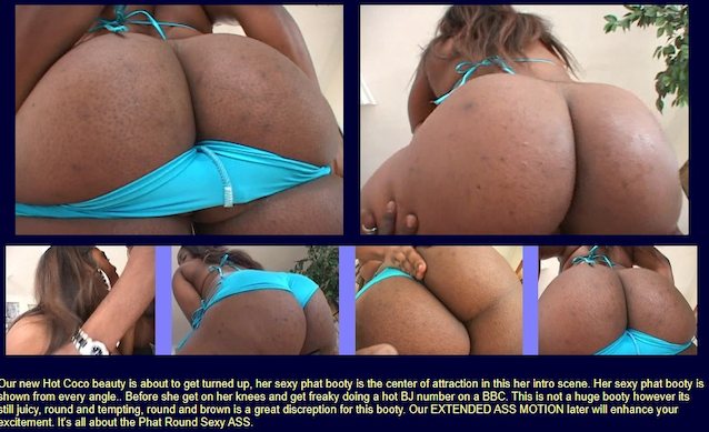 bbw, black, brown, big ass, bikini