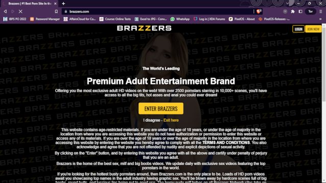 brazzers, porn ad, babe